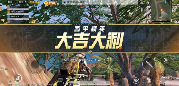怎么在和平精英里变成外挂（怎么在和平精英里设置开外挂）